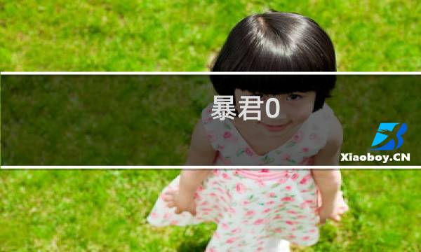 暴君0.35攻略