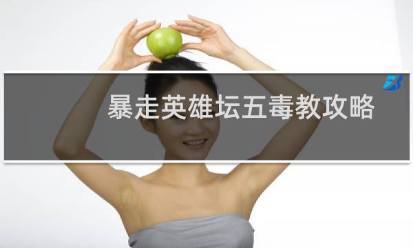 暴走英雄坛五毒教攻略