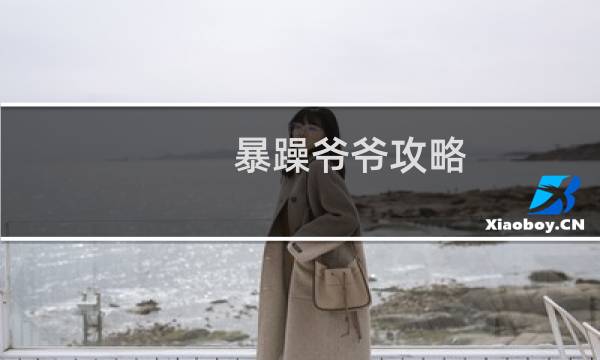 暴躁爷爷攻略