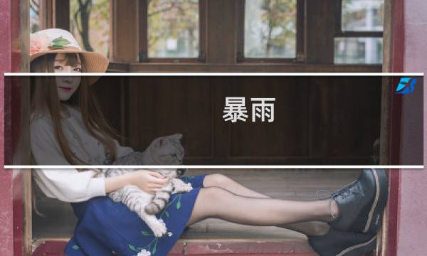 暴雨 神风攻略