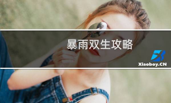 暴雨双生攻略