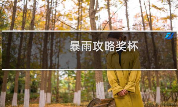 暴雨攻略奖杯