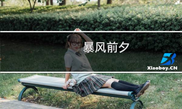 暴风前夕 攻略