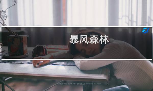 暴风森林 攻略