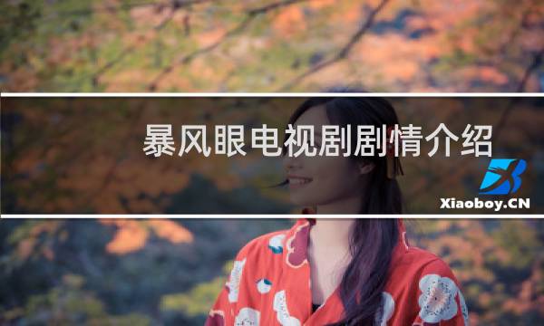 暴风眼电视剧剧情介绍