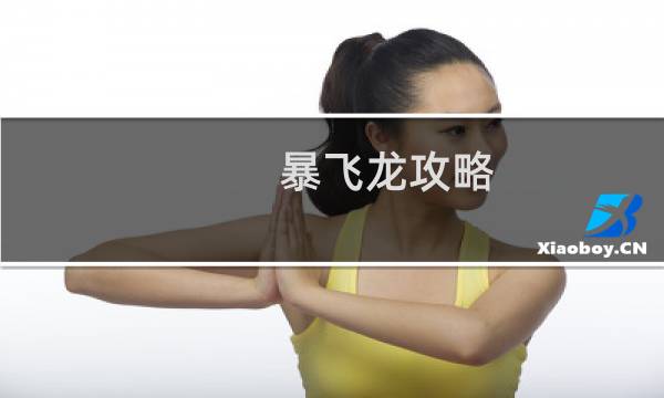 暴飞龙攻略