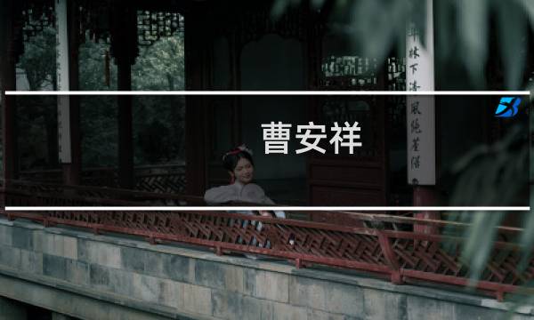 曹安祥 价格
