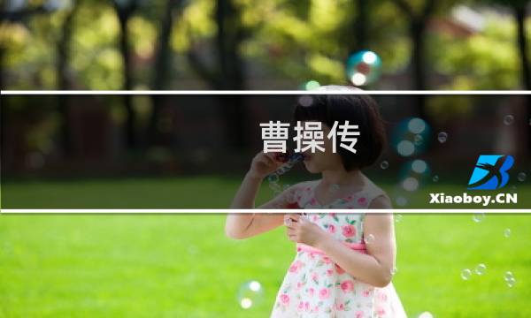曹操传 完美攻略