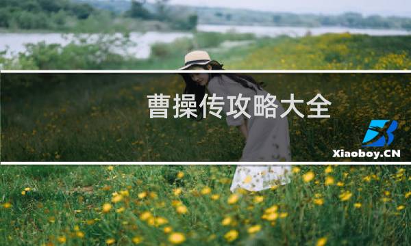 曹操传攻略大全