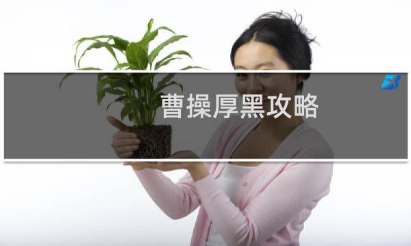 曹操厚黑攻略