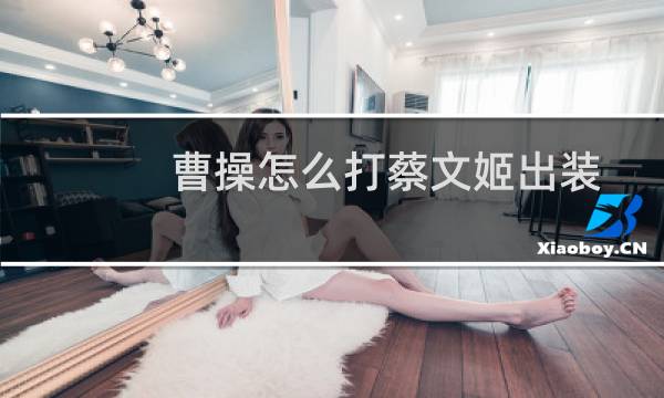 曹操怎么打蔡文姬出装