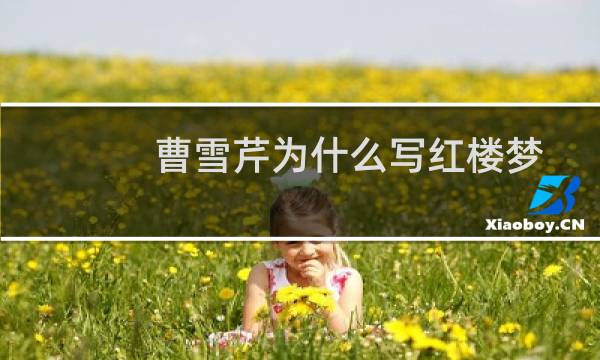 曹雪芹为什么写红楼梦