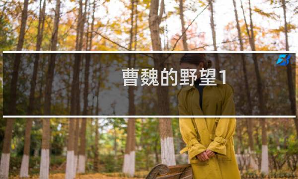 曹魏的野望1.6攻略