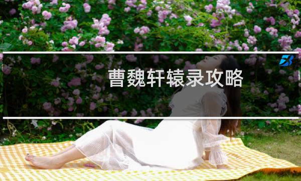 曹魏轩辕录攻略