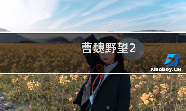 曹魏野望2.3攻略