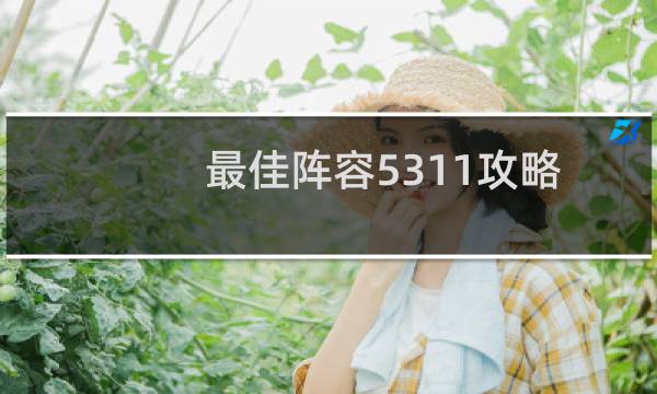 最佳阵容5311攻略