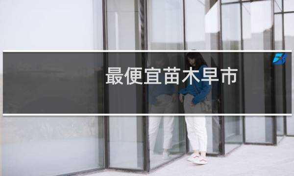 最便宜苗木早市