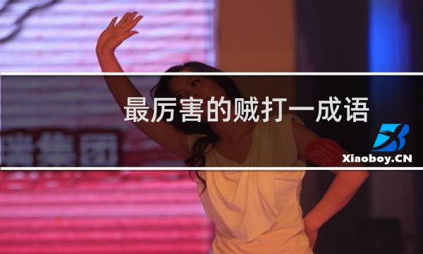 最厉害的贼打一成语