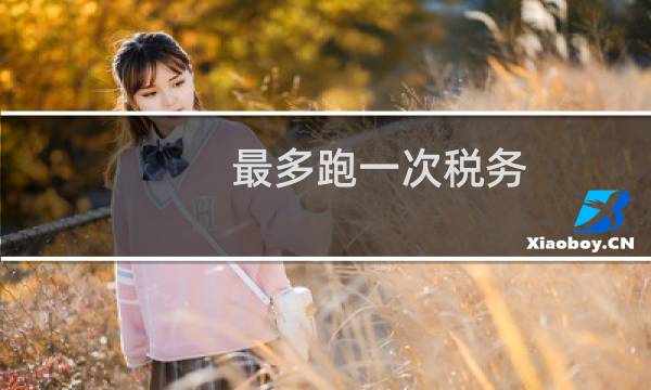 最多跑一次税务