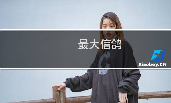 最大信鸽