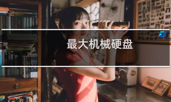 最大机械硬盘