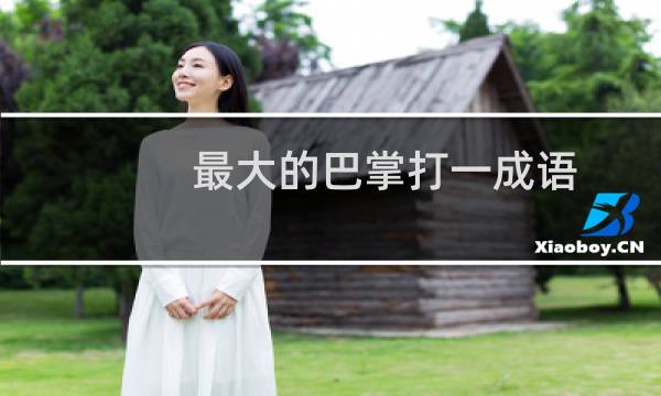 最大的巴掌打一成语