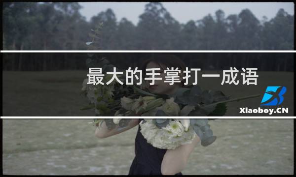 最大的手掌打一成语