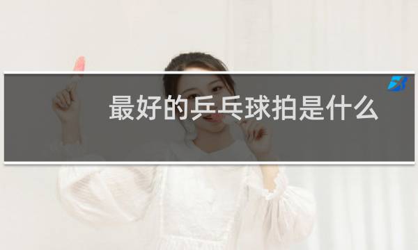 最好的乒乓球拍是什么