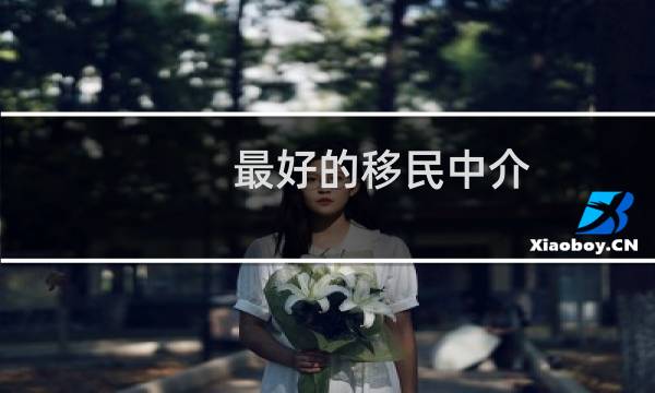 最好的移民中介