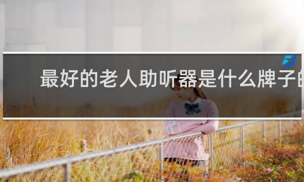 最好的老人助听器是什么牌子的