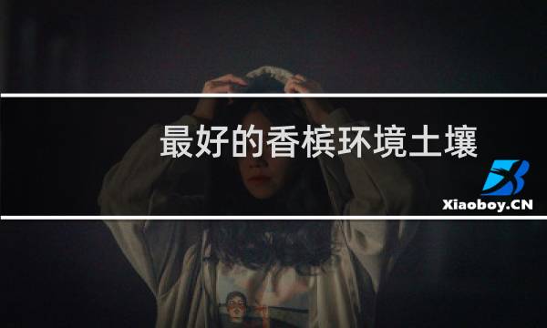 最好的香槟环境土壤