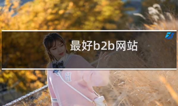 最好b2b网站