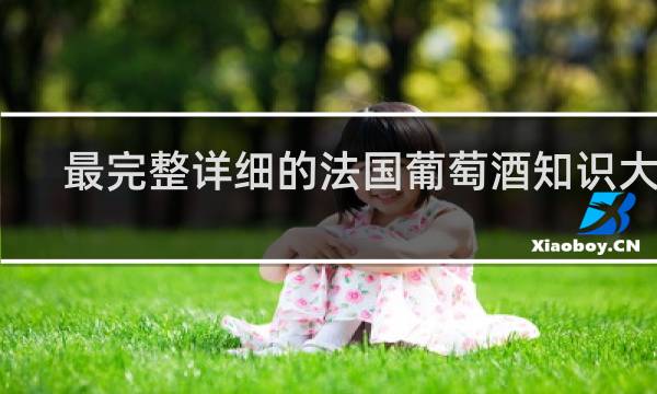 最完整详细的法国葡萄酒知识大全