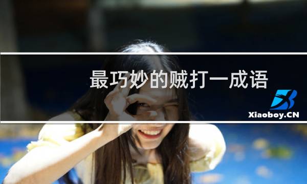 最巧妙的贼打一成语