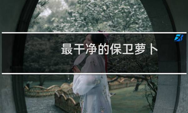 最干净的保卫萝卜