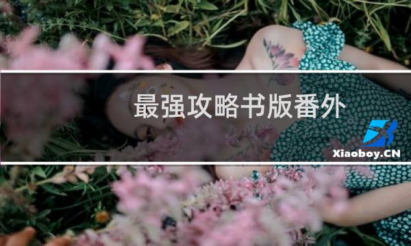 最强攻略书版番外