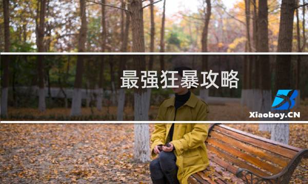 最强狂暴攻略