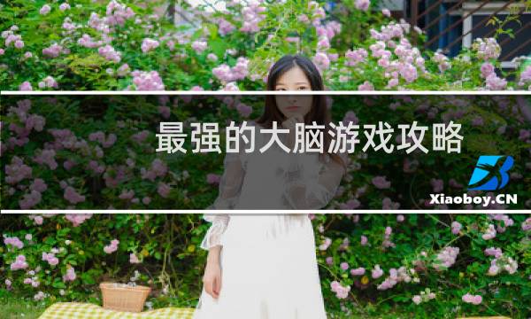 最强的大脑游戏攻略