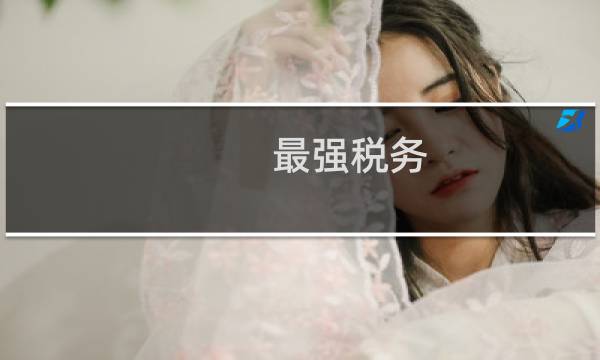 最强税务