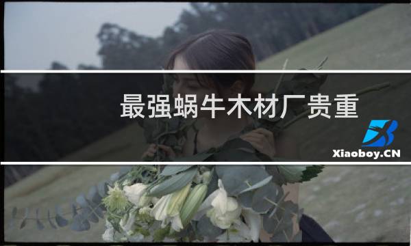 最强蜗牛木材厂贵重