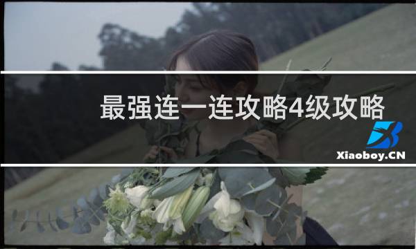 最强连一连攻略4级攻略