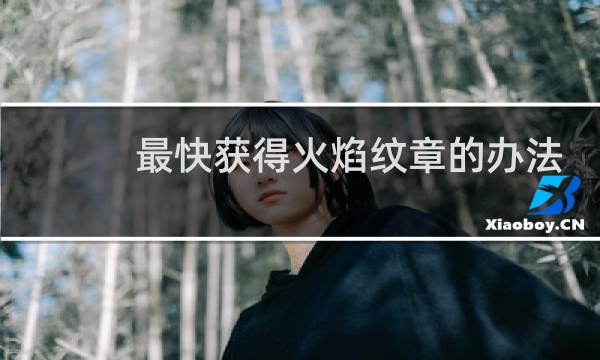 最快获得火焰纹章的办法