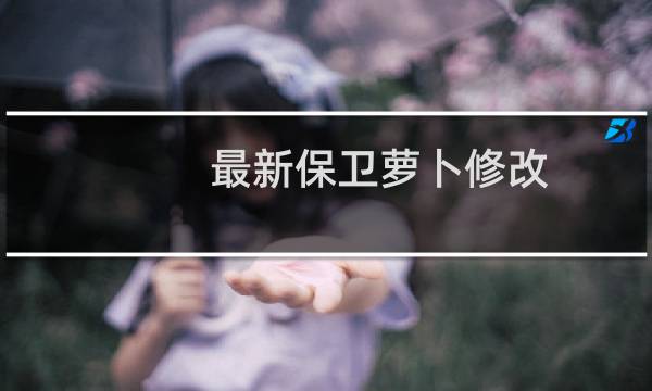最新保卫萝卜修改