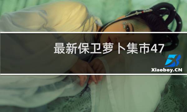 最新保卫萝卜集市47