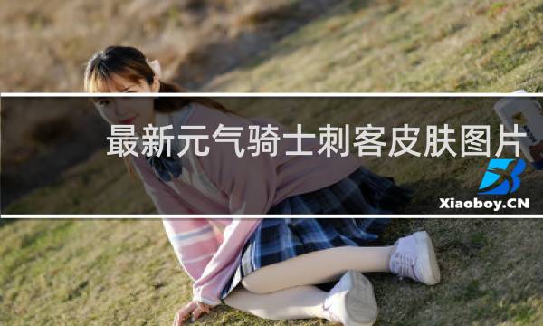 最新元气骑士刺客皮肤图片