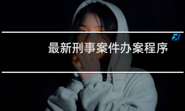 最新刑事案件办案程序