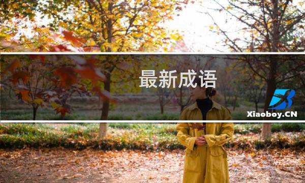 最新成语