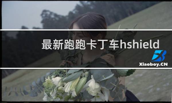 最新跑跑卡丁车hshield