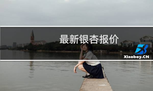 最新银杏报价