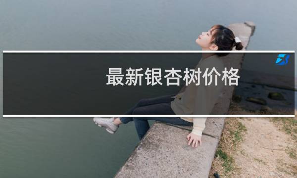 最新银杏树价格